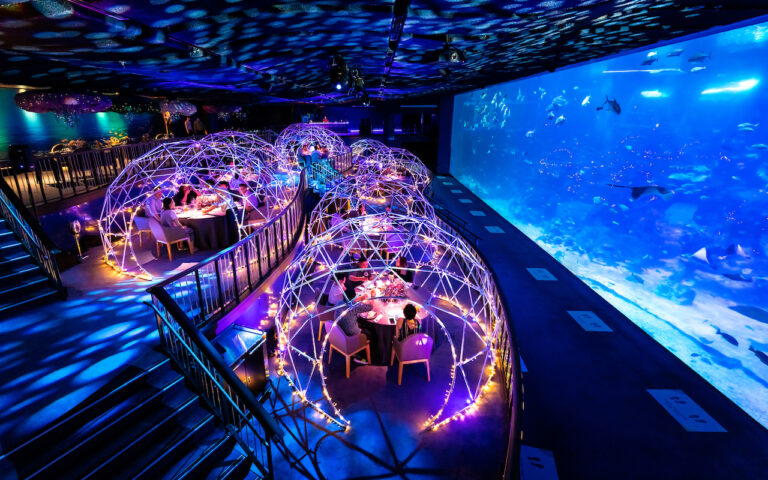 Montage Deer Valley: A Complete Guide to Luxury Mountain Living